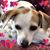 Patricia Bell's profile image