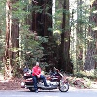 Bob Barbano's profile image