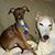 Gretchen Ochs's profile image