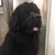 Christina Rutledge Pearce's profile image