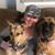 Maryann Alioto Pierce's profile image