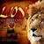 Mieke Jacobs's profile image