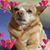 Laura L. Moore's profile image