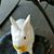 Don Carter's profile image