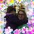 Lisa Gambale-Dale's profile image