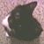Angela Mason's profile image
