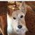 Kim White's profile image