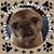 Margie Depontes's profile image