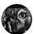 Amanda Bohus's profile image