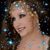 Leyla Amir's profile image