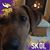 Angie Lenz Hopkins's profile image