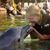 Lana Buhlmann Balan's profile image