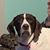 Jennifer Bowler's profile image