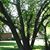 Brickhouse Antiques's profile image