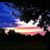 Richard Davis's profile image
