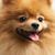 Barbara Whiterell's profile image
