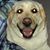 Duke Walters's profile image