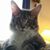 Kathy Moore's profile image
