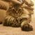 Jeff Felker's profile image