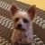 Barb Sherburne's profile image