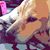 Lisa Brennwald Plourde's profile image
