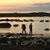 Celine Frechette's profile image