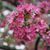 JoAnne Carps's profile image