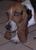 Sandy G.'s profile image
