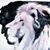 Tammy Kfoury's profile image