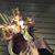Amy Wayne Daniels's profile image