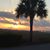 Paul R. Kitchin's profile image