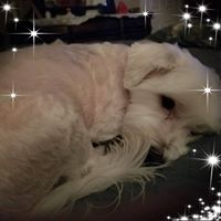 Martin Garcia's profile image
