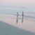 Mark Pollio's profile image