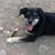 Ehlan Louden's profile image
