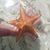 Anne Thibo's profile image