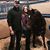 Katherine Ann Paschal's profile image