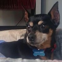 Carolyn Byrd's profile image