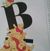 Branka Curovic's profile image