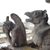 Debby Bailes Vose's profile image