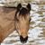 Patricia Brice's profile image