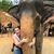 Erin Scheuerman Yeung's profile image