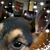 Beth Sapp's profile image