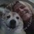 Nicolle Joy Wilfenger's profile image