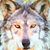 Dana Stegall's profile image