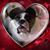 Trish Nelson Fulkerson's profile image
