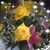Gail Estep Javins's profile image