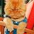 Catarino Jr Flores's profile image