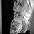 Harley Lynn Miller's profile image