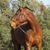 Stephanie Roundy's profile image