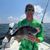 Ian Hilyer's profile image